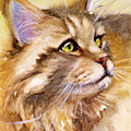 Main Coon Painting by Judith Levins Main Coon Painting by Judith Levins