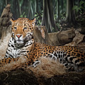 Majestic Leopard Photograph by Scott Norris Majestic Leopard Photograph by Scott Norris