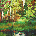 Mallard Grove by Steve Henderson Mallard Grove by Steve Henderson