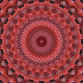 Mandala In Reds by Jaroslaw Blaminsky Mandala In Reds by Jaroslaw Blaminsky