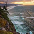 Manzanita Sun Photograph by Darren White Manzanita Sun Photograph by Darren White