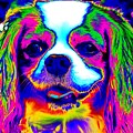 Mardi Gras Dog Digital Art by Larry Beat Mardi Gras Dog Digital Art by Larry Beat