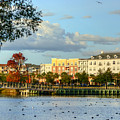 Market Common Myrtle Beach Photograph by Kathy Baccari Market Common Myrtle Beach Photograph by Kathy Baccari