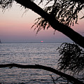 Maui Sunset by Jennifer Ancker Maui Sunset by Jennifer Ancker