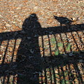 Me and My Shadow Photograph by Ali Baucom Me and My Shadow Photograph by Ali Baucom