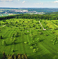 Meadow with trees green nature Braunaecker Germany Photograph by Matthias Hauser