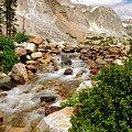Medicine Bow Peak in the Snowy Range Wyoming by Tranquil Light Photography