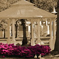 Meet Me At The Gazebo by Colleen Cornelius Meet Me At The Gazebo by Colleen Cornelius