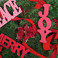 Merry Christmas Decorations by Diane Macdonald