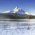 Mid Winter Morning Digital Art by John Christopher