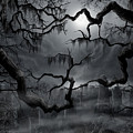 Midnight in the Graveyard II by James Christopher Hill Midnight in the Graveyard II by James Christopher Hill