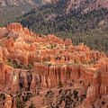 Mighty Fortress by Angela Moyer
