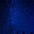 Milky Way and Trees Photograph by Pelo Blanco Photo Milky Way and Trees Photograph by Pelo Blanco Photo