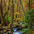 Mill Creek in Fall #1 Photograph by Joe Shrader Mill Creek in Fall #1 Photograph by Joe Shrader