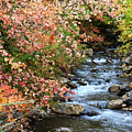 Millcreek in Fall Photograph by Brett Pelletier Millcreek in Fall Photograph by Brett Pelletier