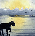 Miniature Schnauzer at Sunset Painting by David Rogers Miniature Schnauzer at Sunset Painting by David Rogers