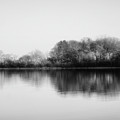 Minimalistic nature - black and white Photograph by Lilia D Minimalistic nature - black and white Photograph by Lilia D