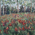 Minnesota Wildflowers by Nadine Rippelmeyer Minnesota Wildflowers by Nadine Rippelmeyer