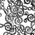 Mishmash Melodies by Jorgo Photography - Wall Art Gallery Mishmash Melodies by Jorgo Photography - Wall Art Gallery