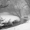 Misty Morning Photograph by Julie Lueders Misty Morning Photograph by Julie Lueders