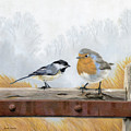 Feathered Friends by Sarah Batalka Feathered Friends by Sarah Batalka