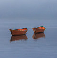 Misty Morning Photograph by Rob Davies Misty Morning Photograph by Rob Davies