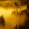 Misty Morning Sunrise Photograph by Ben Upham III Misty Morning Sunrise Photograph by Ben Upham III