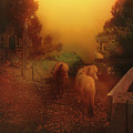 Misty Sundown by Elaine Teague