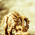 Model Styracosaurus Skeleton by Jorgo Photography - Wall Art Gallery Model Styracosaurus Skeleton by Jorgo Photography - Wall Art Gallery