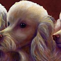 Molly Charlie and Abby by Shannon Grissom Molly Charlie and Abby by Shannon Grissom