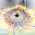 Momentary Intimacy by Casey Kotas Momentary Intimacy by Casey Kotas