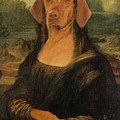 Mona Visla Digital Art by Galen Hazelhofer Mona Visla Digital Art by Galen Hazelhofer