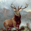 Monarch of the Glen Painting by Sir Edwin Landseer Monarch of the Glen Painting by Sir Edwin Landseer