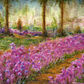 Monet's Garden in Cannes by Jerome Stumphauzer Monet's Garden in Cannes by Jerome Stumphauzer