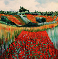 Monet's Poppy Field No. 2 by Carole Sluski