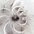 Monochrome flower Digital Art by Amanda Moore Monochrome flower Digital Art by Amanda Moore