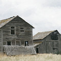 Montana Past by Susan Kinney Montana Past by Susan Kinney