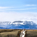 Montana Scenery one by Susan Kinney Montana Scenery one by Susan Kinney
