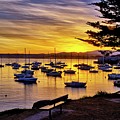Monterey Bay Sunrise by Alex Morales