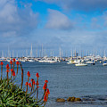 Monterey Breakwater Photograph by Derek Dean Monterey Breakwater Photograph by Derek Dean