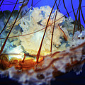 Monterey Jellyfish Photograph by Eileen Gayle Monterey Jellyfish Photograph by Eileen Gayle