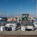 Monterey Marina Photograph by Derek Dean Monterey Marina Photograph by Derek Dean