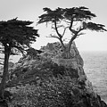 Monterey Peninsula II BW Photograph by David Gordon Monterey Peninsula II BW Photograph by David Gordon
