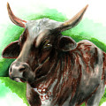 Moo 2 Drawing by Samantha Strong Moo 2 Drawing by Samantha Strong