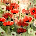 Moody Poppies In The Afternoon by Suzann Sines Moody Poppies In The Afternoon by Suzann Sines