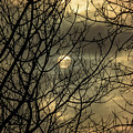 Moody Winter Sky Through Trees Photograph by Cheryl Baxter Moody Winter Sky Through Trees Photograph by Cheryl Baxter