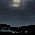 Moonrise over the Marsh. Photograph by WAZgriffin Digital Moonrise over the Marsh. Photograph by WAZgriffin Digital