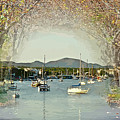 Moored Yachts In A Sheltered Bay by Clive Littin Moored Yachts In A Sheltered Bay by Clive Littin