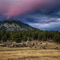 Moraine Park Sunset Photograph by Susan Rissi Tregoning Moraine Park Sunset Photograph by Susan Rissi Tregoning