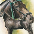 Morgan by Barbara Keith Morgan by Barbara Keith